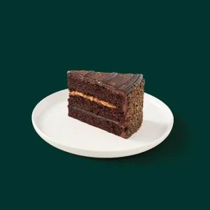 Classic Chocolate Cake Slice